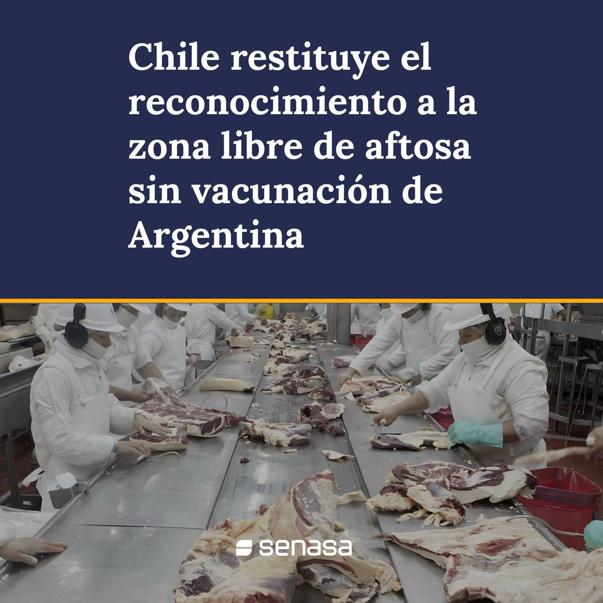 🇨🇱🤝🇦🇷 Chile restituye el reconocimiento a la zona libre de aftosa sin vacunación de Argentina y levanta la medida de suspensión de las importaciones de las mercancías bovinas y ovinas procedentes de la Patagonia, tras negociaciones del <a href="/sagchile/">SAG</a> con SENASA y <a href="/agriculturaar/">Secretaría de Agricultura, Ganadería y Pesca</a>