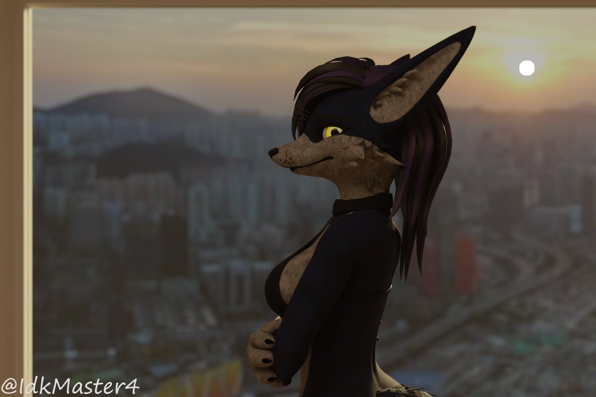 You like the view?~