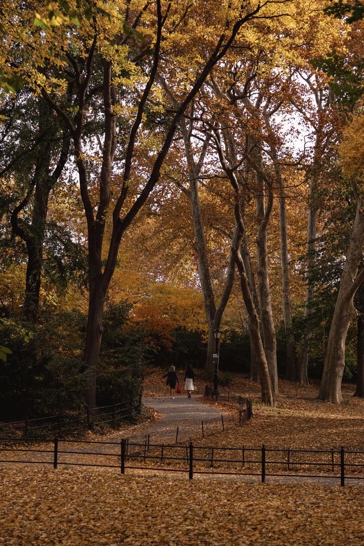 autumn walk in central park 🍁