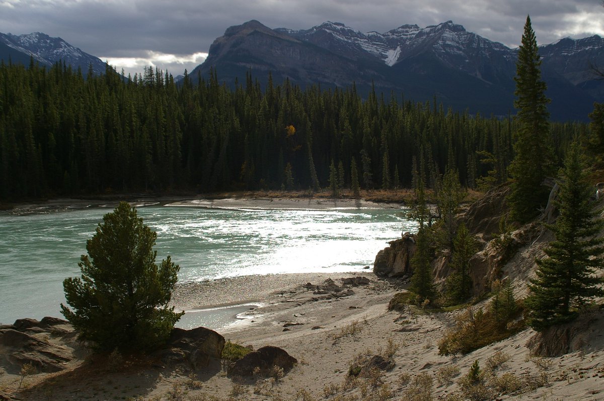 Big Johnson (@bigjohnson9111) on Twitter photo Good morning and Happy Thanksgiving 🇨🇦, Thought I would share more of beautiful Alberta. Good morning and Happy Thanksgiving 🇨🇦, Thought I would share more of beautiful Alberta.