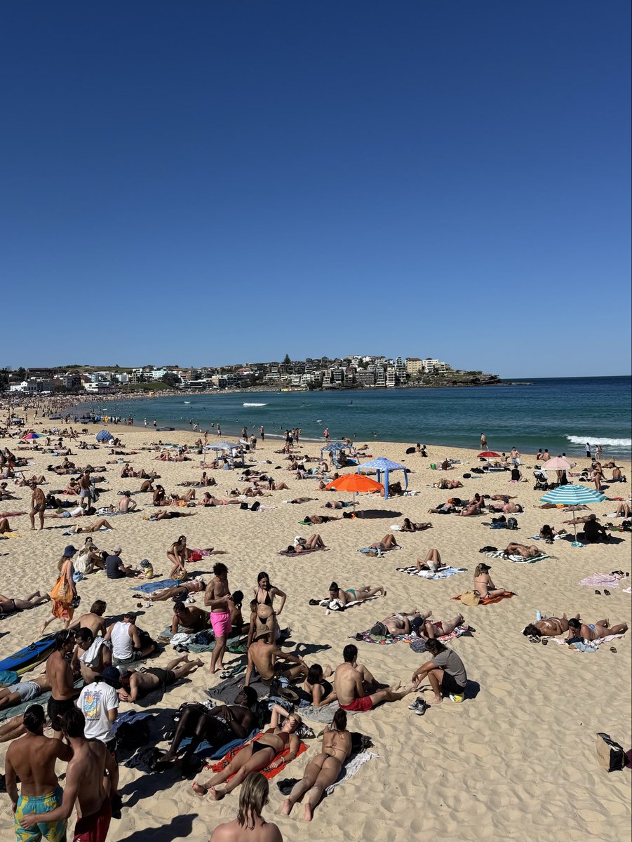 bondi tanning