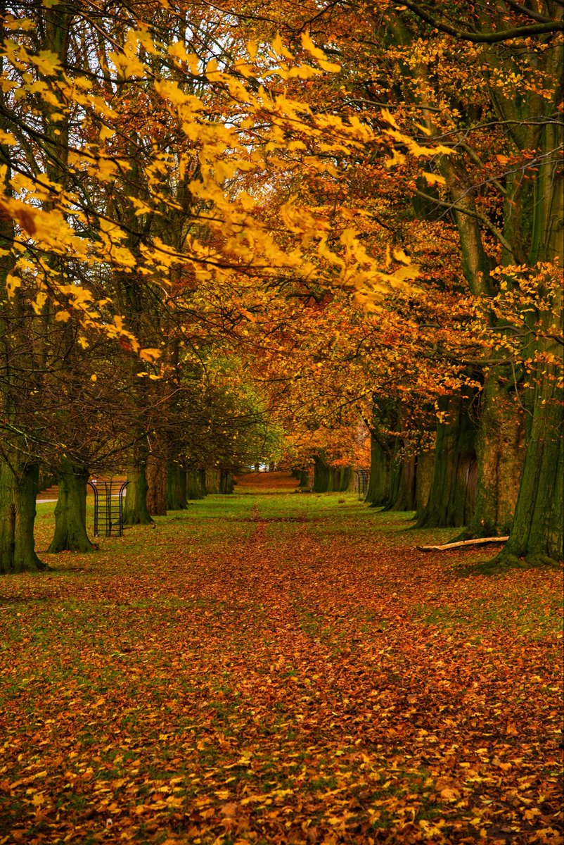 Brian Jenkins tweet media