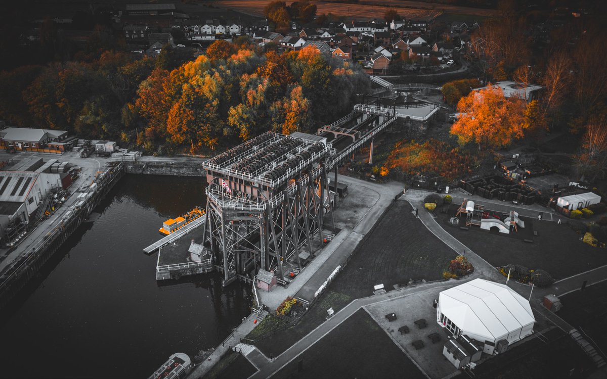 Brian Jenkins tweet media