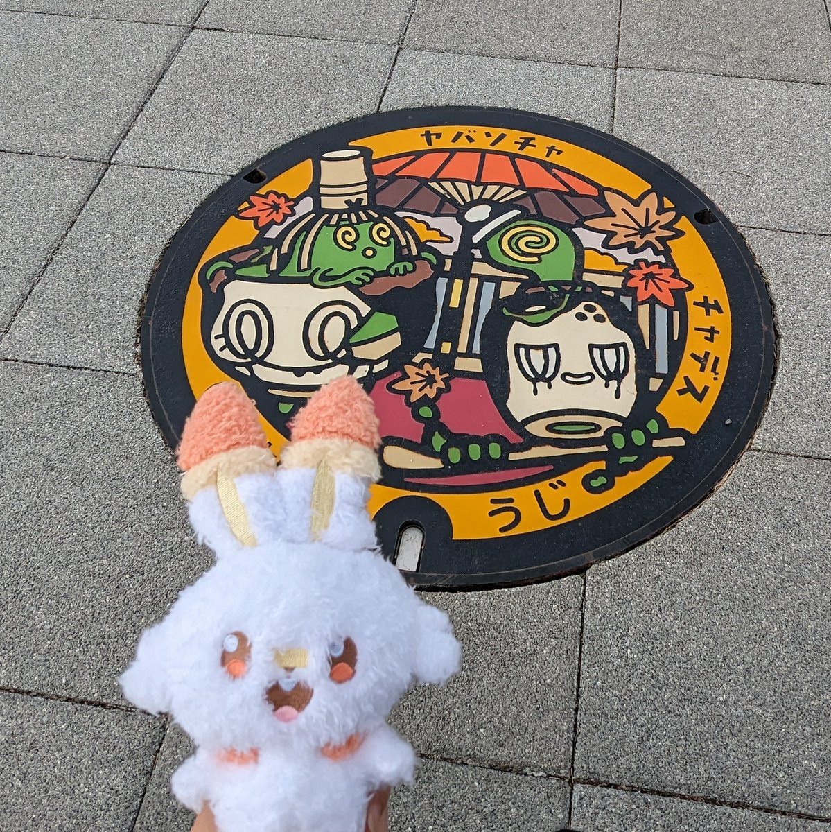 soumatan_1202's tweet photo. 【拡散希望】
落し物 迷子 ポケモン ぬいぐるみ ヒバニー ポケピース

ボールチェーンが外れぬいぐるみを落としてしまいました。10/11㈯ 15時～16時頃に河原町の商店街〜ポケセンキョウトの間の地下で落としたと思われます。拾われた方やお心辺りのある方いらっしゃいましたらご一報頂けますと幸いです https://t.co/HxPT8qQ9sc