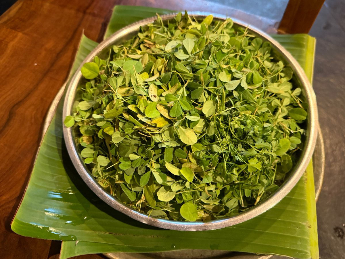 hpnadig's tweet image. Menthya - Methi from the farm.
Greens are best when you grow them yourself. #Farming #Permaculture