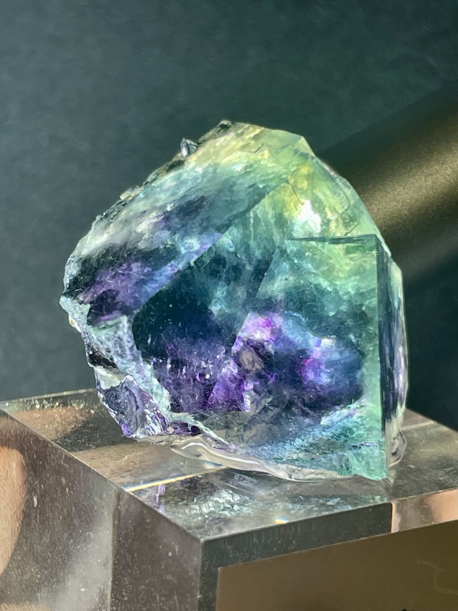 透明感があって色の揺らぎを感じる蛍石
めちゃめちゃ綺麗です💚💙💜

LIBER MINERALSさん(<a href="/LiberMinerals/">LIBER MINERALS</a>)より

Fluorite
Yindu Mine, Inner Mongolia, China