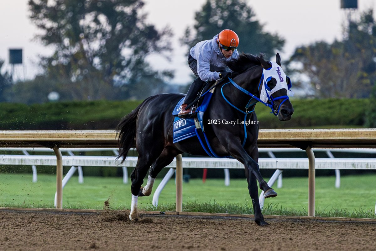 Casey Laughter (@casey_laughter) on Twitter photo Bentornato (Valiant Minister) breezing with <a href="/iradortiz/">Iradortiz</a> for trainer <a href="/JFDAngelo/">Jose F D'Angelo</a>. He is prepping for a potential start in the <a href="/BreedersCup/">Breeders' Cup</a> Sprint. Bentornato (Valiant Minister) breezing with <a href="/iradortiz/">Iradortiz</a> for trainer <a href="/JFDAngelo/">Jose F D'Angelo</a>. He is prepping for a potential start in the <a href="/BreedersCup/">Breeders' Cup</a> Sprint.