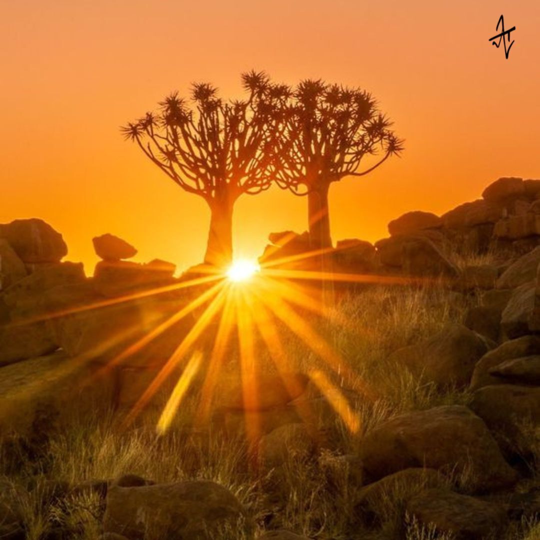 AkkshyeTulsyan's tweet image. Golden hour in Namibia… where worries melt into the horizon. 🌇💛

#NamibiaSunset #RelaxAndUnwind