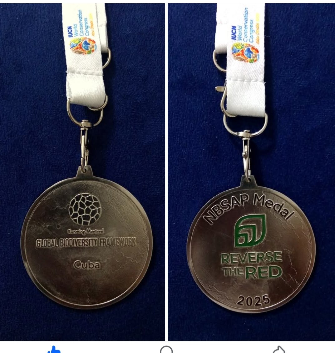 #Cuba recibe premio Internacional "Reverse the Red 2025" por su Programa Nacional de Diversidad Biológica al 2030. Medalla "NBSAP Reverse the Red 2025", importante galardon internacional en Biodiversidad.
 <a href="/citmacuba/">Ministerio de Ciencia, Tecnología y Medio Ambiente</a> #PinardelRío
<a href="/CitmaPinar/">Comunicadora CitmaPinar</a>