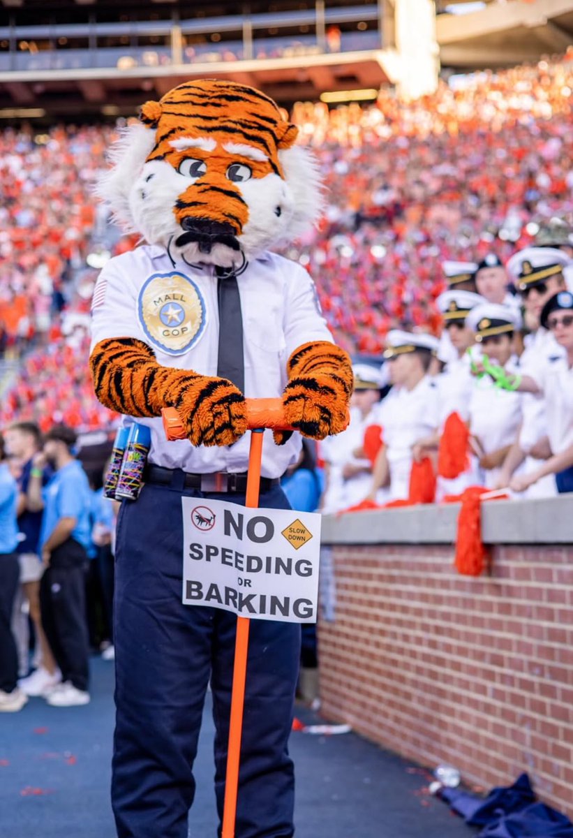 Gameday mood: TO HELL WITH GEORGIA!