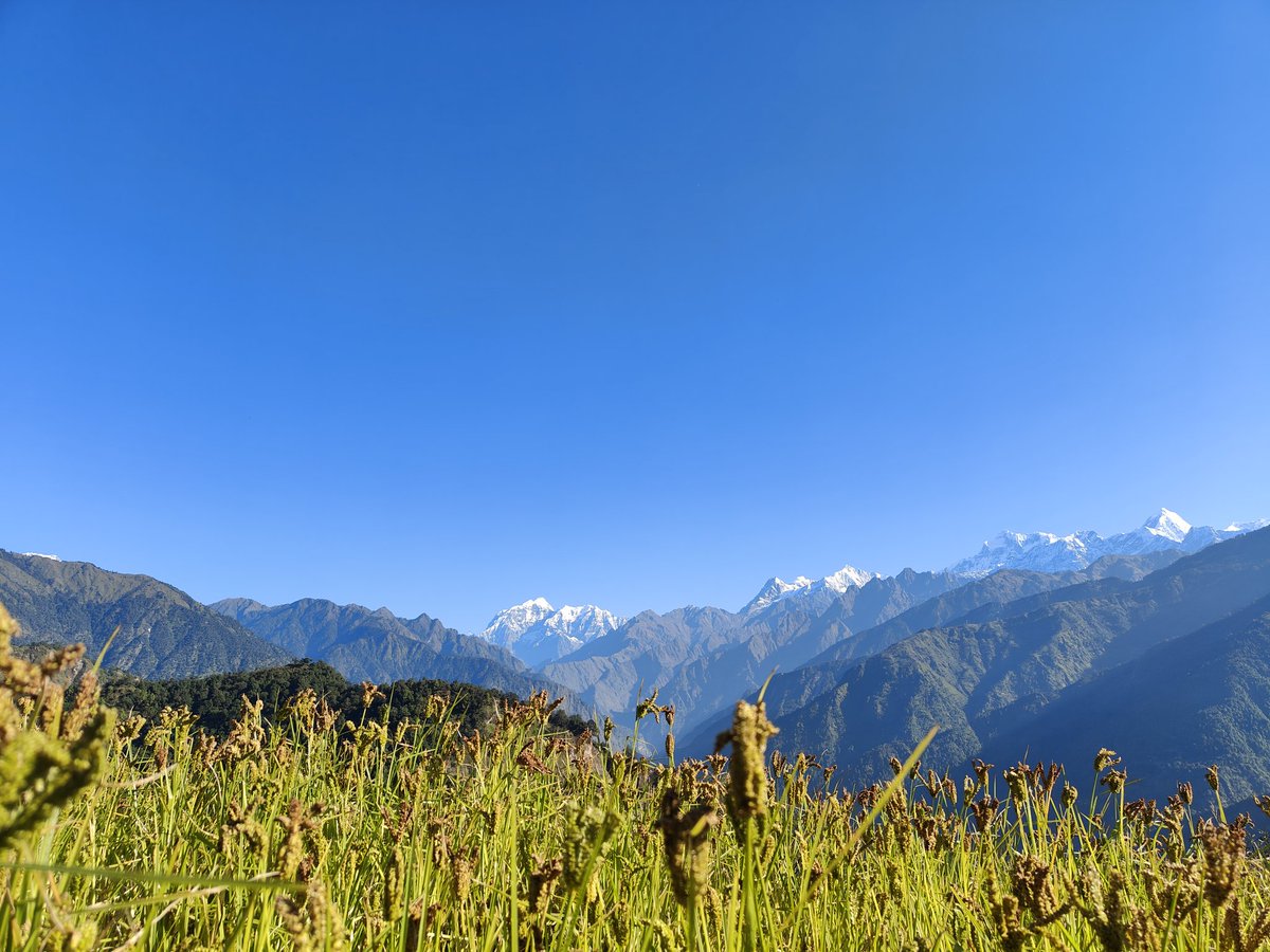 KcSabbu's tweet photo. बिहानको हिमाल ।।

#lapu#dharche#Gorkha https://t.co/VFLyRHkx1A