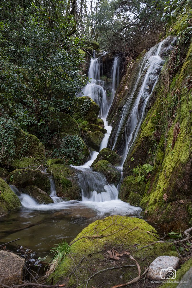 Unha volta por o #montealoia sempre fai ben 
descubrecadadia.com/2018/04/parque…
