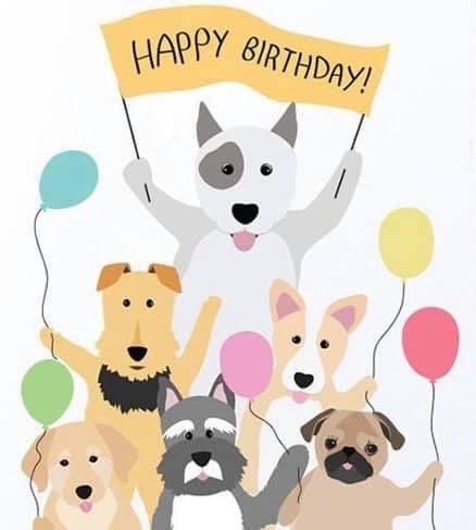 april_rayburn's tweet photo. @BestinDogs https://t.co/EqC6ZDU6Ha