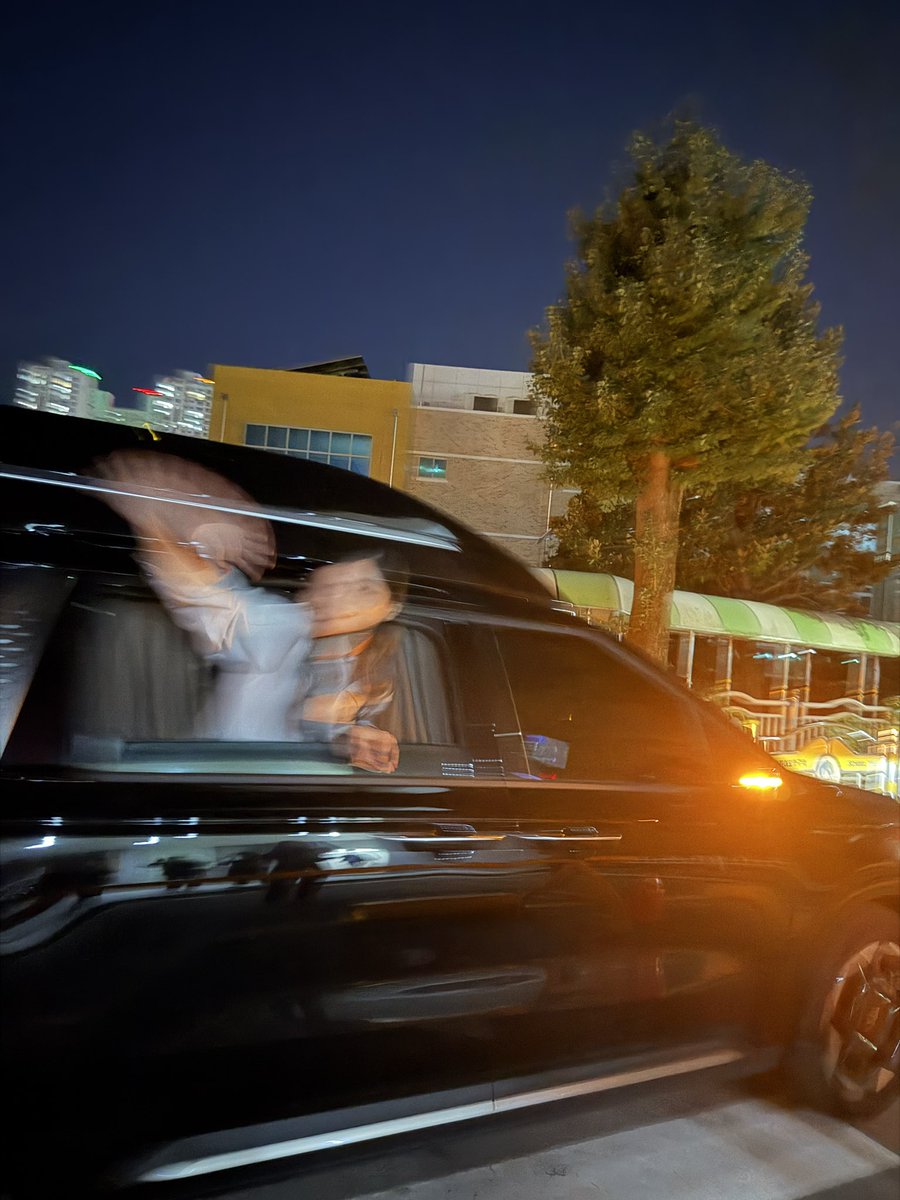 고양이 퇴근길 찍긴했는데..................