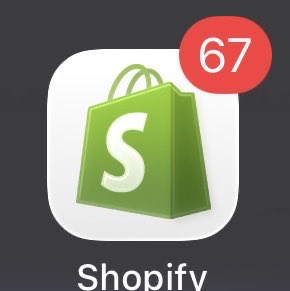 youngjazzeth's tweet image. ive decided to switch to ecommerce after this market crash 🥲