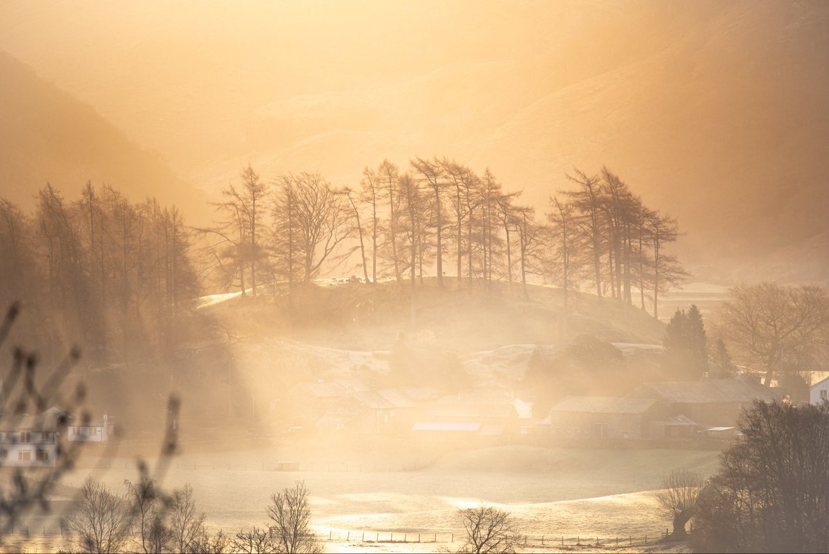 Brian Jenkins tweet media