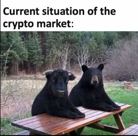 JohnneyWeb3's tweet image. Current state of the crypto market