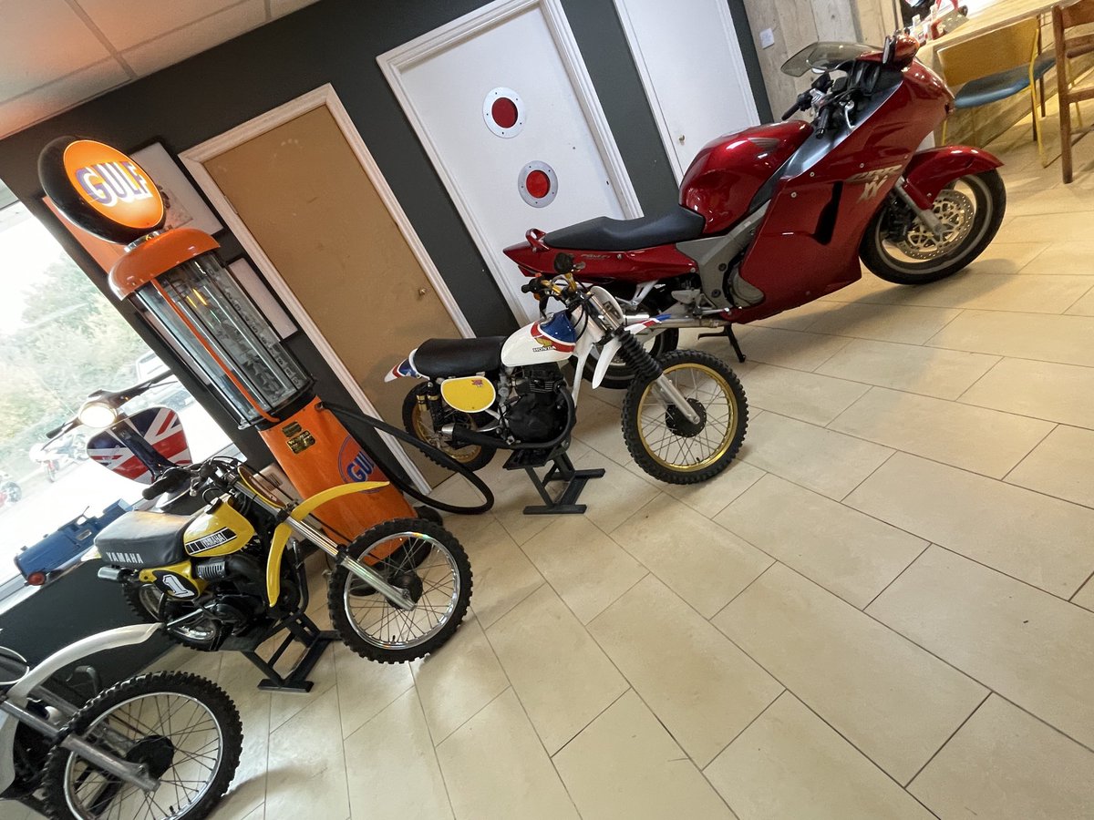 Grumpier Every Day (@grumpierdaily) on Twitter photo 