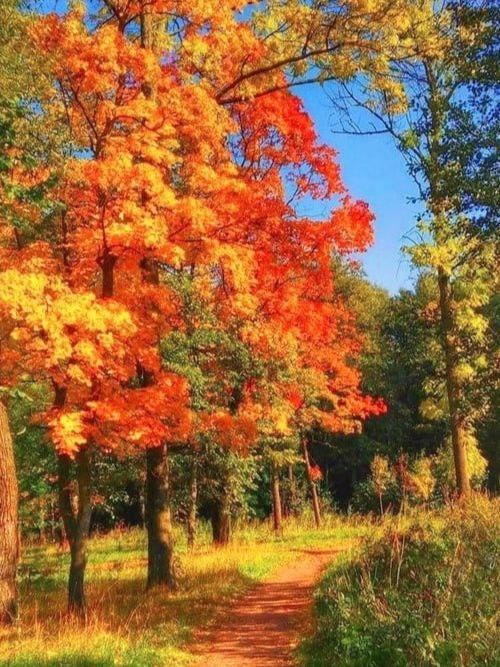 xetra_a's tweet image. 