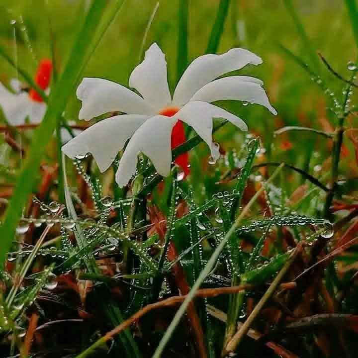 1arshd's tweet image. #ملک_پرموشن
ACTIVE🟢
@01Mllik
@01rshd
@1arshd
@1Arshii
@sehr_ik
@1mna11
@01M1hi
@0Sehrr
@1Sehar_
@jst_4rU
@Ghz35
@ze_kh1
@11iasd
@8L_04
@guljnt
@1yus_f
@1Lvz0
@_zb_0
🍃@_fat6
@1z_K8
@_zak8
@1sehr_
@1Ansha
@bndy66
@shZ447
@md_804
@pyaari_c
@K_G_898
@Hurain_5
@cricfan56
@Haris_943