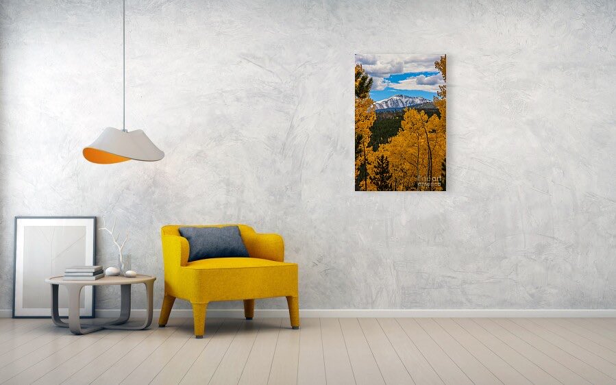 erinmdorffette's tweet image. #jamespeak in #Colorado peaking through the #fallcolors of #aspens makes for great #wallart. 

#buyintoart #ArtoftheDay #artforsale #BuyNow 

faa.savingmemoriesbymakingmemories.com/featured/snowy…
