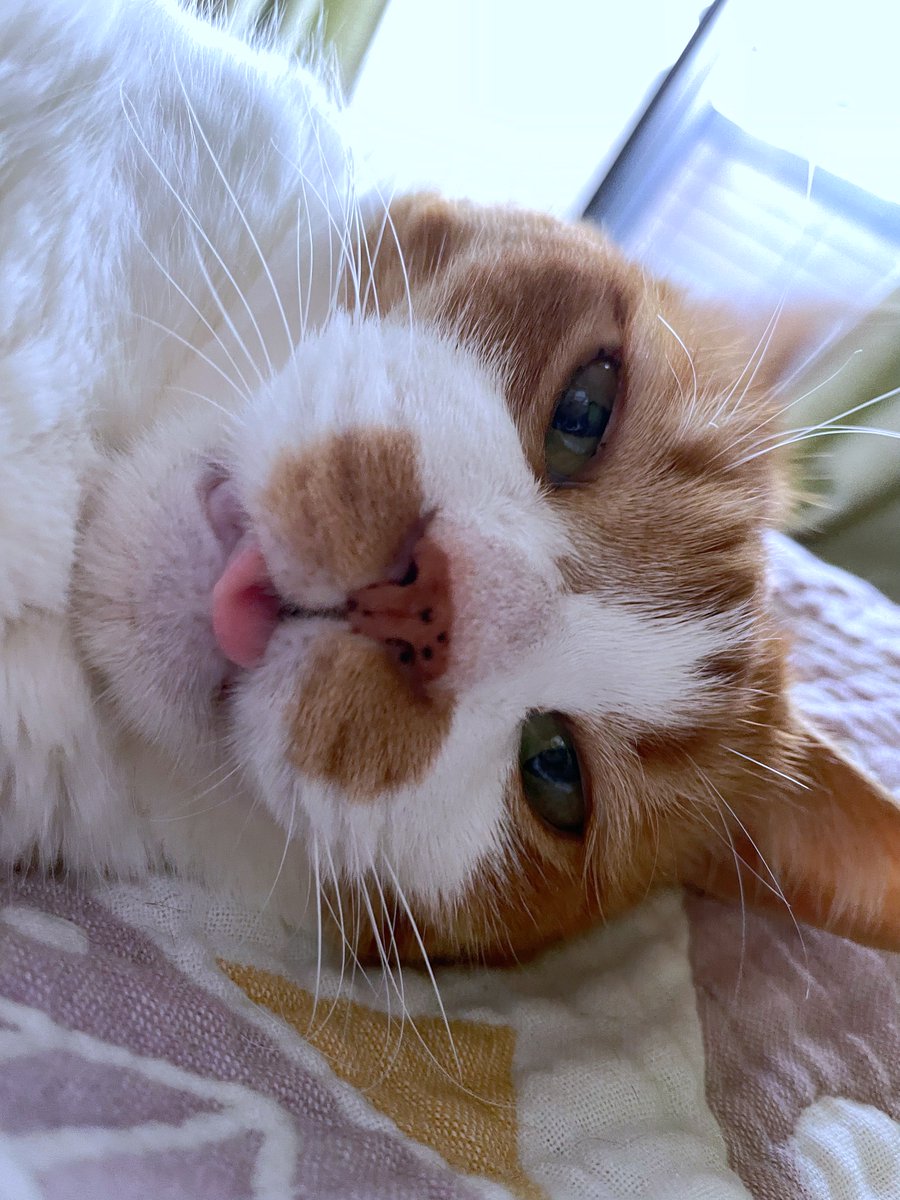 #三連休はフォロワーが増えるらしい