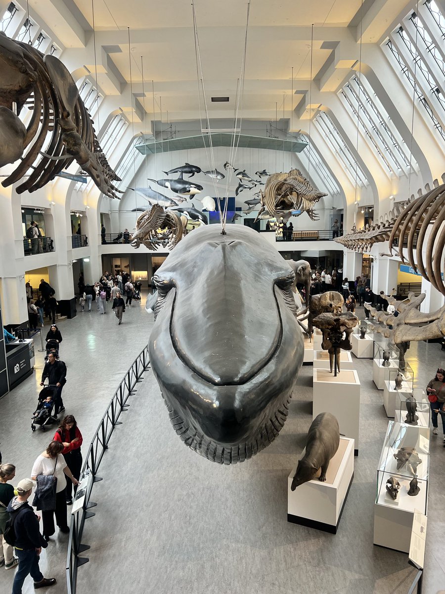 ᚢⰓᚱᚺⰓ tweet media