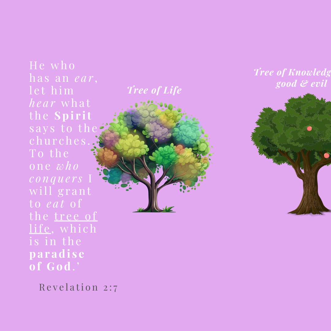 mjoyzabala's tweet image. Revelation 2:7 

#BibleVerse #Scriptures