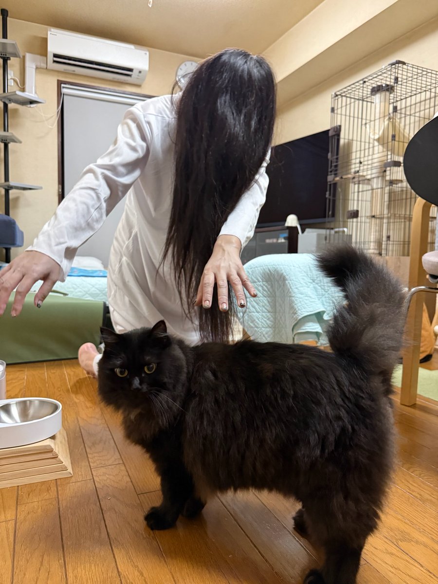 #貞子 ちゃんしてみた！ｍ川ﾟД川ｍ

明日、3年程伸ばした髪をヘアドネーション用にカットするので、せっかくならと最後に貞子コス。Amazonで衣装を、ドンキで白塗りアイテムを入手してやってみました☺️
ベエさん？もちろん呆れてました笑
#黒猫