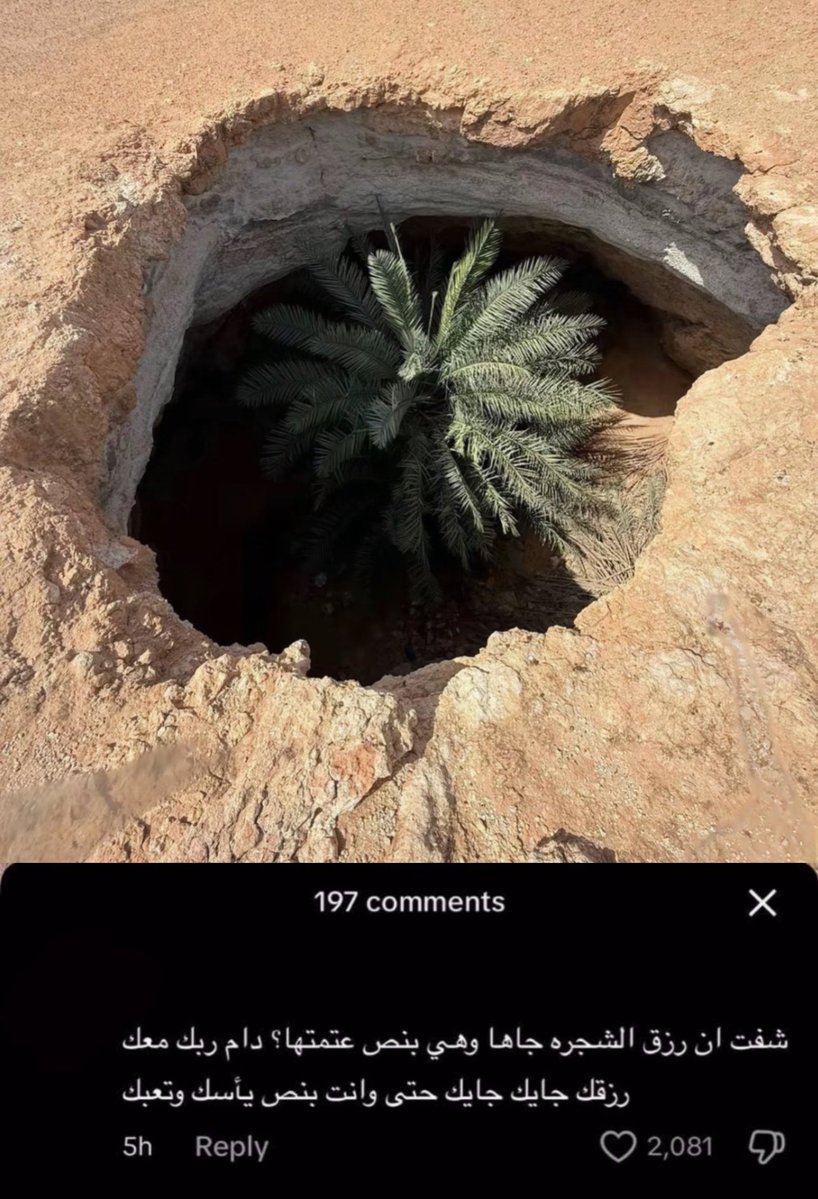 قالها ورحل