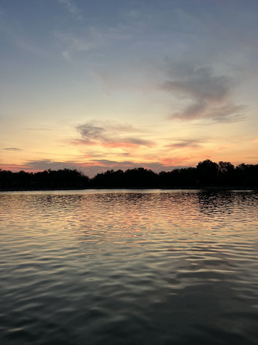 a_m_a_t_c_h_a's tweet image. Kerapu 5 bandeng 9. Jossss