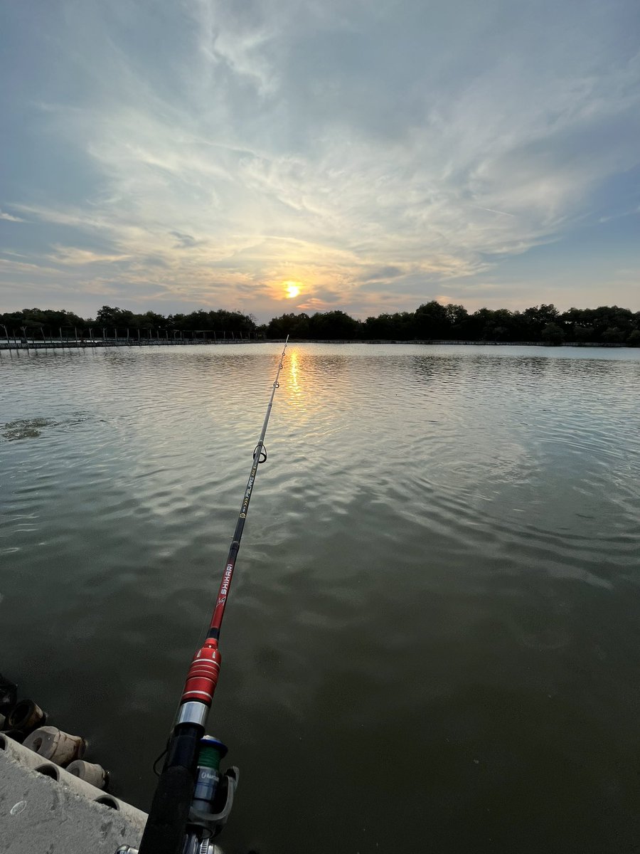 a_m_a_t_c_h_a's tweet image. Kerapu 5 bandeng 9. Jossss