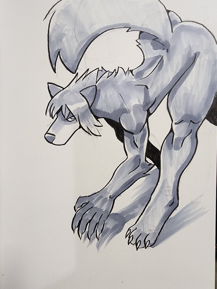 Prowl.