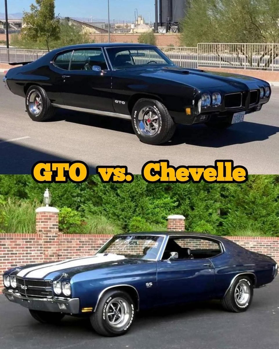 Top or bottom