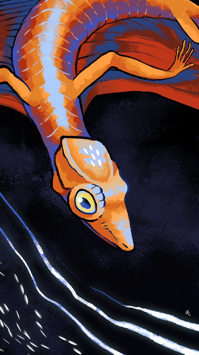 MT_Metanagon's tweet image. Jour 11 du #paleoctober2025

🦎 Coelurosauravus (~260 Ma)
Un reptile du Permien planeur avec des extensions osseuses sur ses côtes !

🪸 Melanocyrillium (~740 Ma)
Un organisme du Précambrien: témoin des premières formes de vie multicellulaires.

#art #paleoart #science #nature