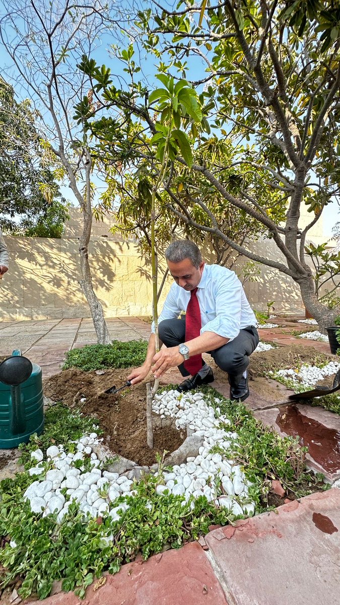 KVSinghMPGonda's tweet image. Planted a tree  in the Indian Embassy in Abudhabi. India’s #EkPedMaaKeNaam initiative drives climate action and supports glacier preservation for a green, sustainable future.
#ClimateAction #IUCN2025 #EkPedMaaKeNaam
#Plant4mother