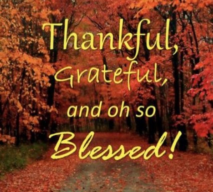 BeeAwake1's tweet image. 🧡 Thank You Bobby ☀️🟠
       For including me 🦋
Follow👉🏼 @BobbyReader2