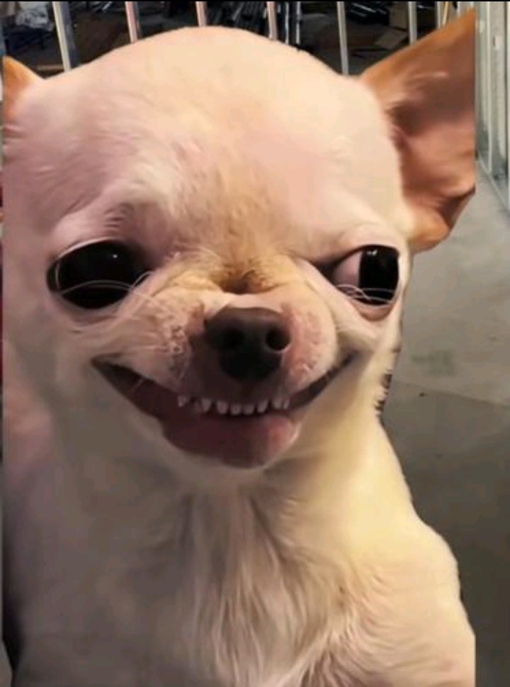 kingdavid02468's tweet image. My intrusive thoughts will say 

Fly bro just do it 💀💪