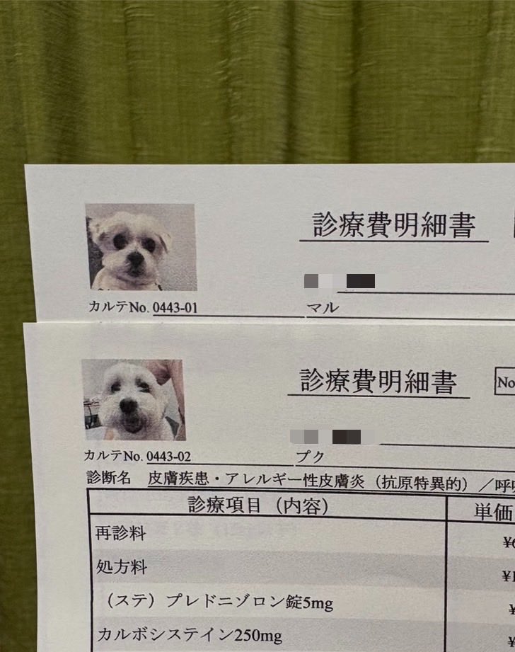 プクマル tweet media