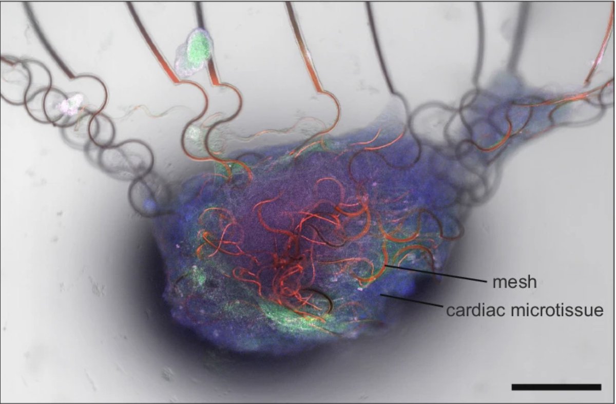 عبدالله السويدي tweet media