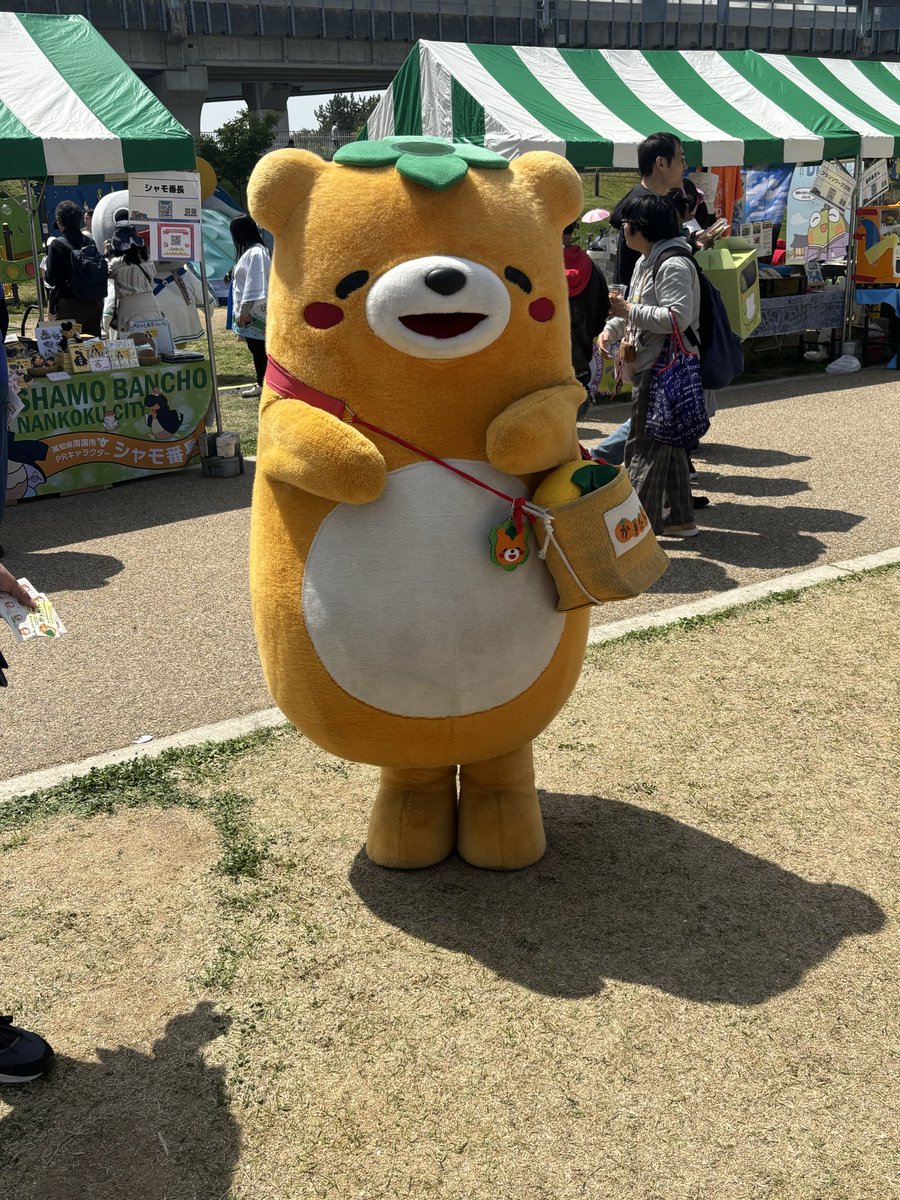 r34Vsub's tweet image. カキ熊も平和よ(っ&apos;ヮ&apos;c)