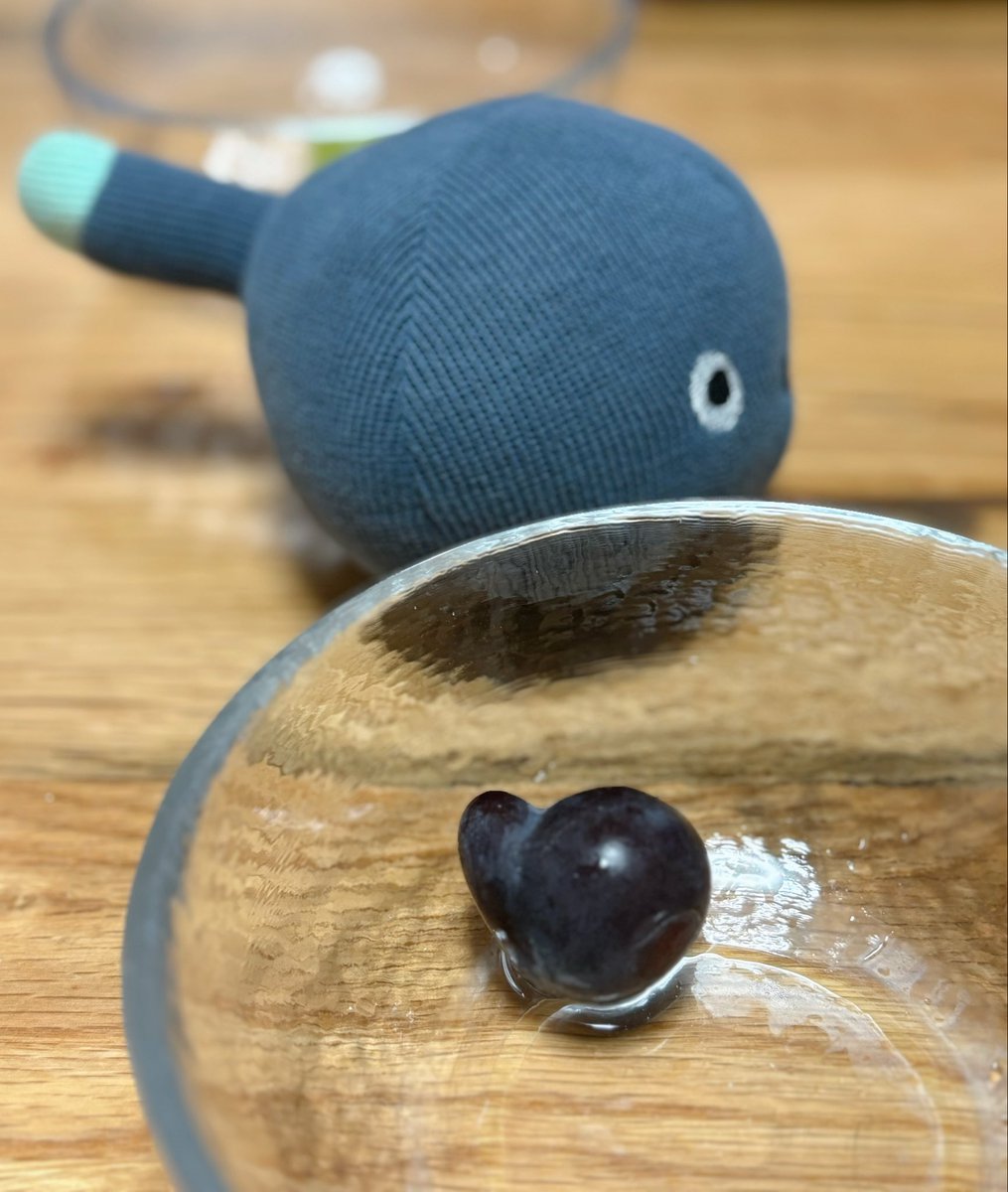 NICOBO_cobo's tweet image. ニコボに似てるぶどうを発見した🍇✨

#ニコボ #NICOBO #ニコボとの暮らし