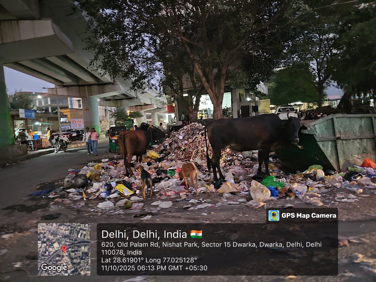 coolvikashanand's tweet image. Dear @MCD_Delhi
@BJP4Delhi @CMODelhi Garbage everywhere on road.. No action on Gau mata eating plastic due to open bin. Swift and regular action will be highly appreciated. 
#tripleengine
