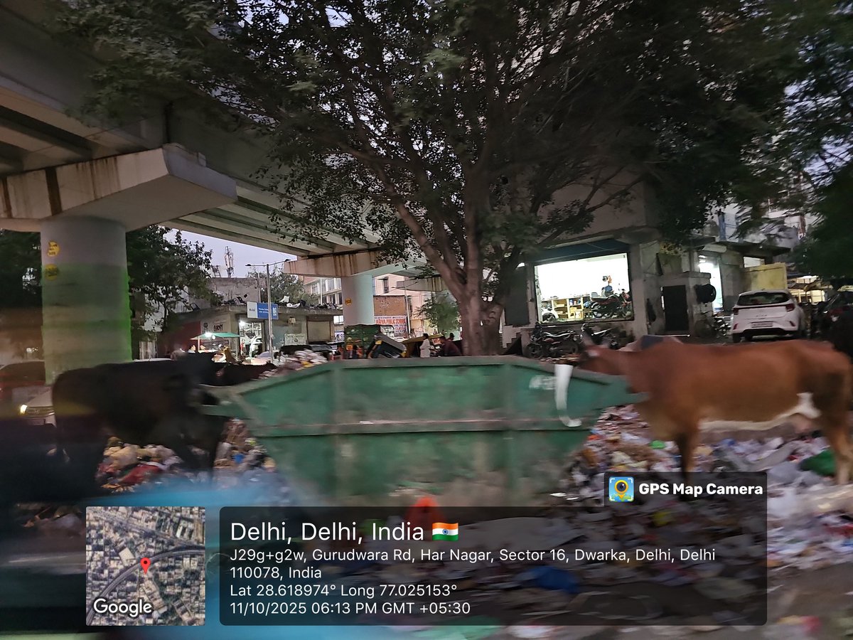 coolvikashanand's tweet image. Dear @MCD_Delhi
@BJP4Delhi @CMODelhi Garbage everywhere on road.. No action on Gau mata eating plastic due to open bin. Swift and regular action will be highly appreciated. 
#tripleengine