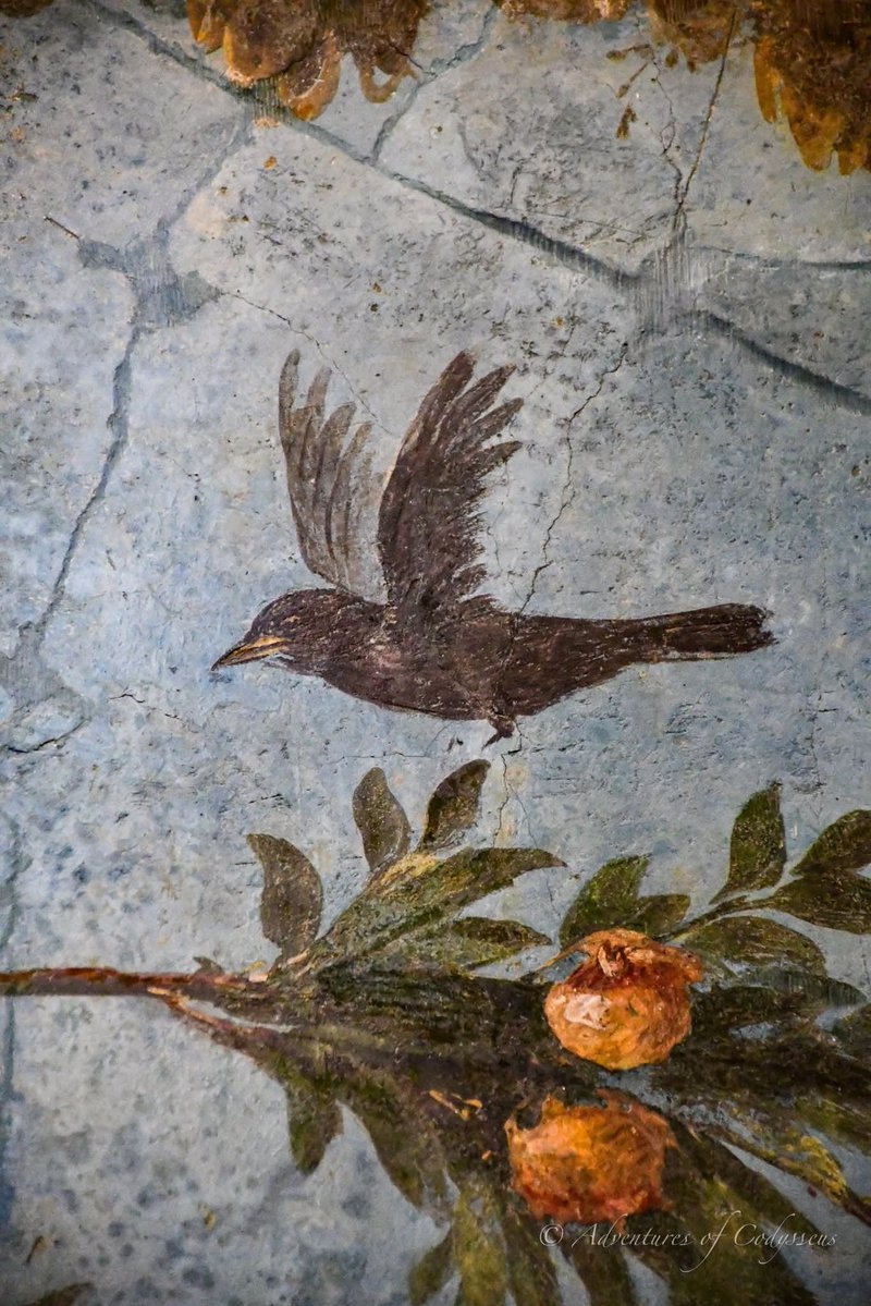 RamellaUgo's tweet image. Pompei affresco