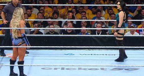 HeartBreakCorb's tweet image. Both wrestlers wearing blue?

Ain’t this Raw VS Smackdown??? #WWECrownJewel