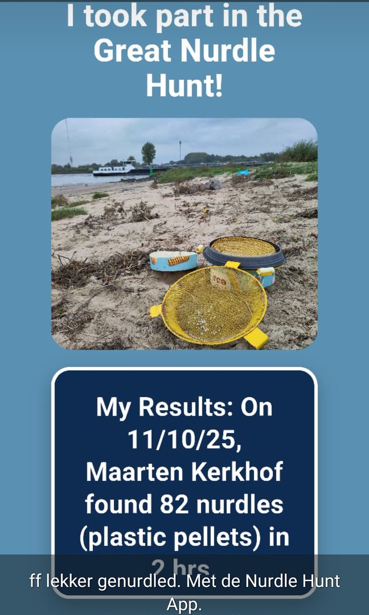 This afternoon i found 82 #nurdles in 12 meter strandline left behind by storm Amy. #greatnurdlehunt <a href="/greatnurdler/">Great Nurdle Hunt</a>