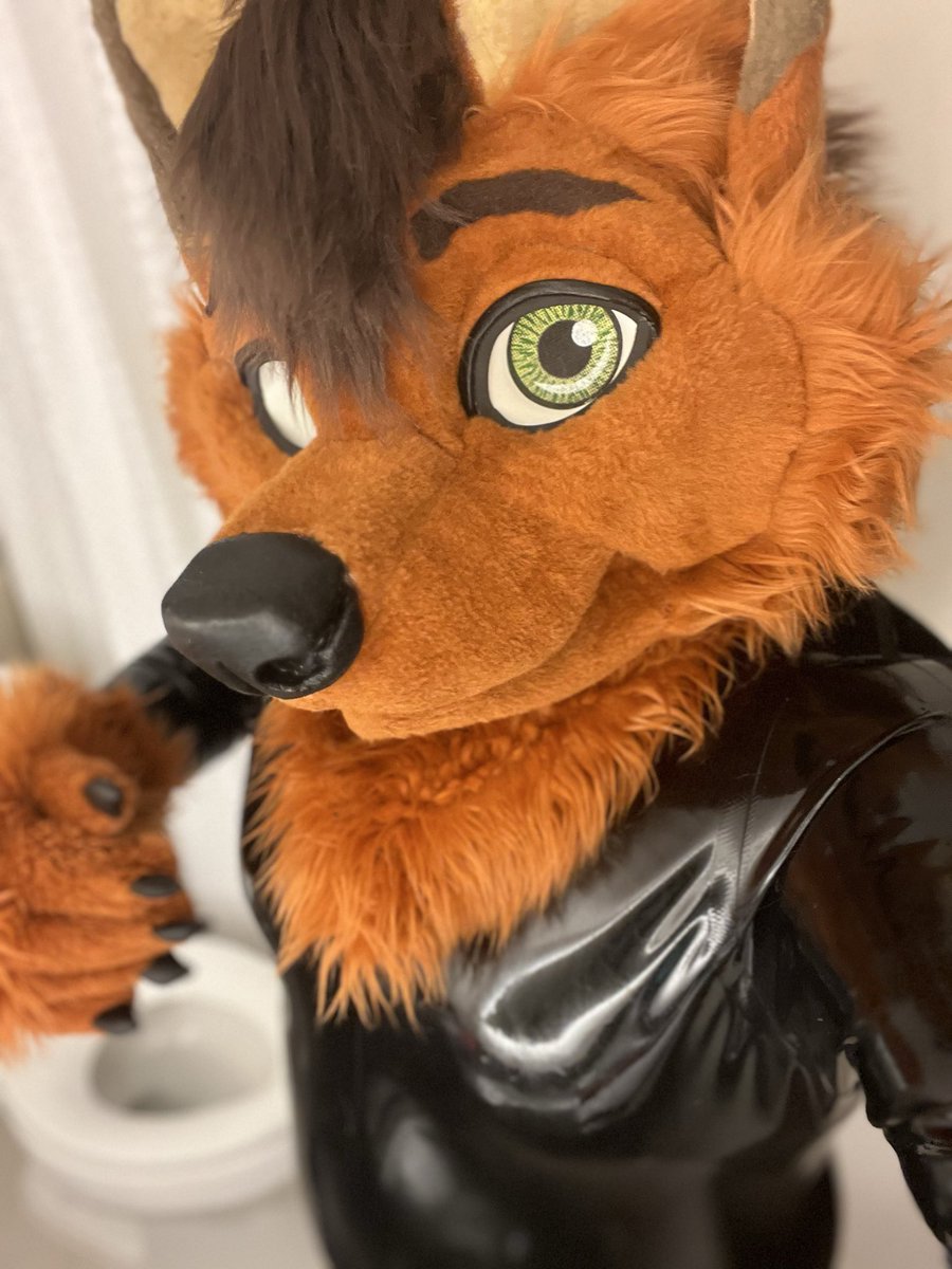 Good morning everyone! Or should I say, “rise and shine.” ✨ 

#squeakysaturday