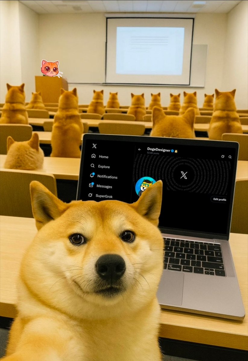 Fate loves irony. <a href="/elonmusk/">Elon Musk</a> @cbdoge