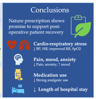 Harnessing the power of nature in surgery: A systematic scoping review of nature prescribing and measures of benefit - Surgery